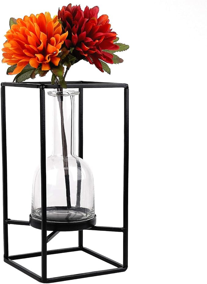 EXCELLO GLOBAL PRODUCTS Decorative Glass Vase with Metal Wire Stand: Clear Vase Decoration for Mo... | Amazon (US)