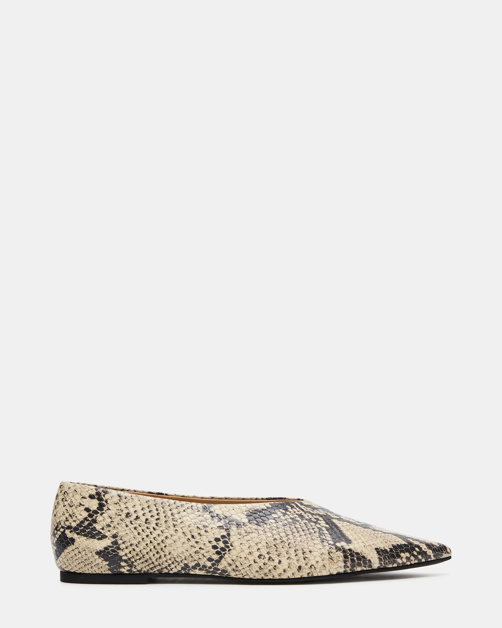 FLOYD Snake Pointed-Toe Ballet Women's Flat | Steve Madden (US)