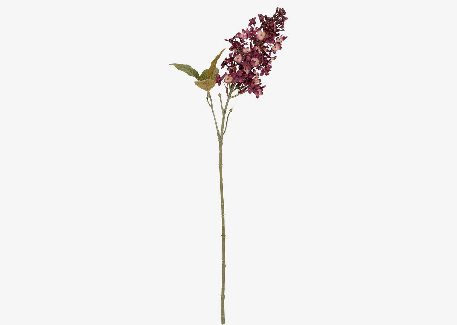 Myrna Lilac Stem Bordeaux | Urban Barn