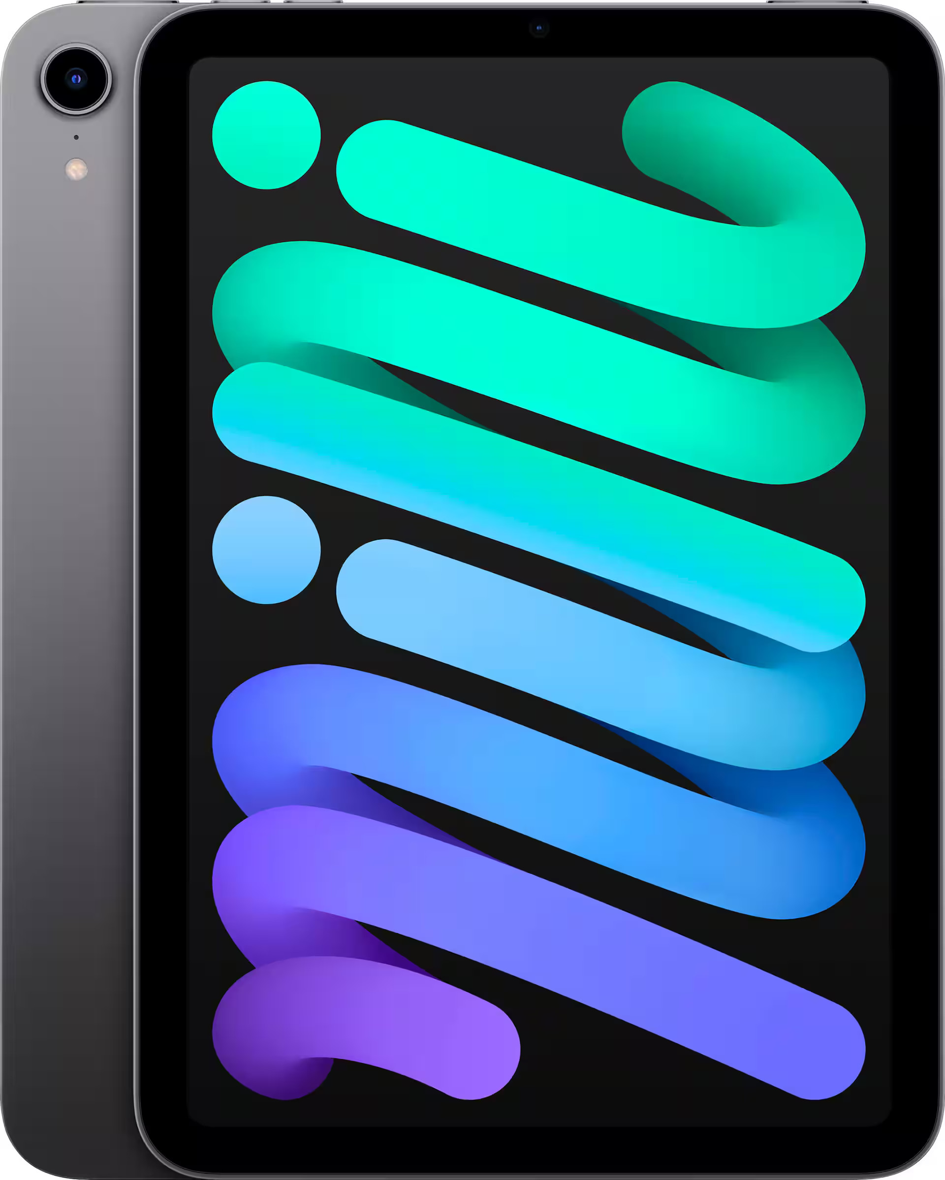 Apple iPad mini (Latest Model) with Wi-Fi 64GB Space Gray MK7M3LL/A - Best Buy | Best Buy U.S.