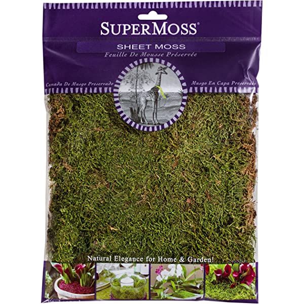 SuperMoss (26912) Spanish Moss Preserved, Grass, 8oz (200 cubic inch) | Amazon (US)