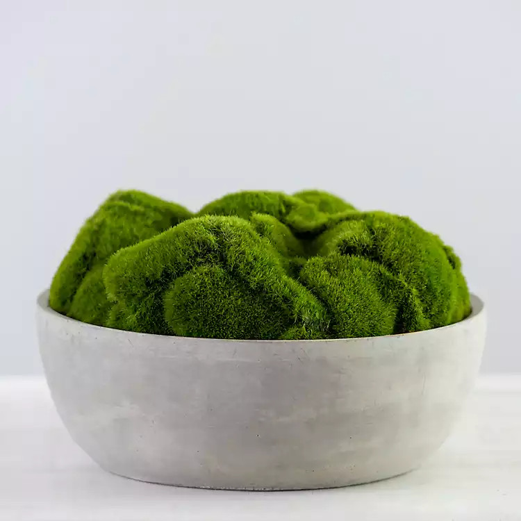 Moss in Concrete Bowl Arrangement | Kirkland's Home