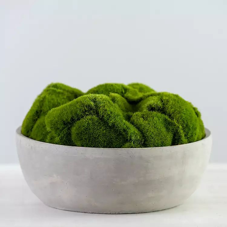 Moss in Concrete Bowl Arrangement | Kirkland's Home