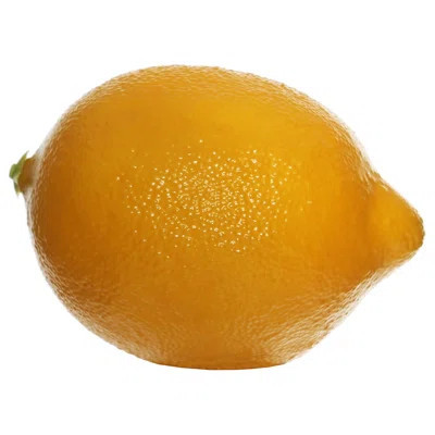 Gossage Artificial Lemon Vase Filler | Wayfair North America