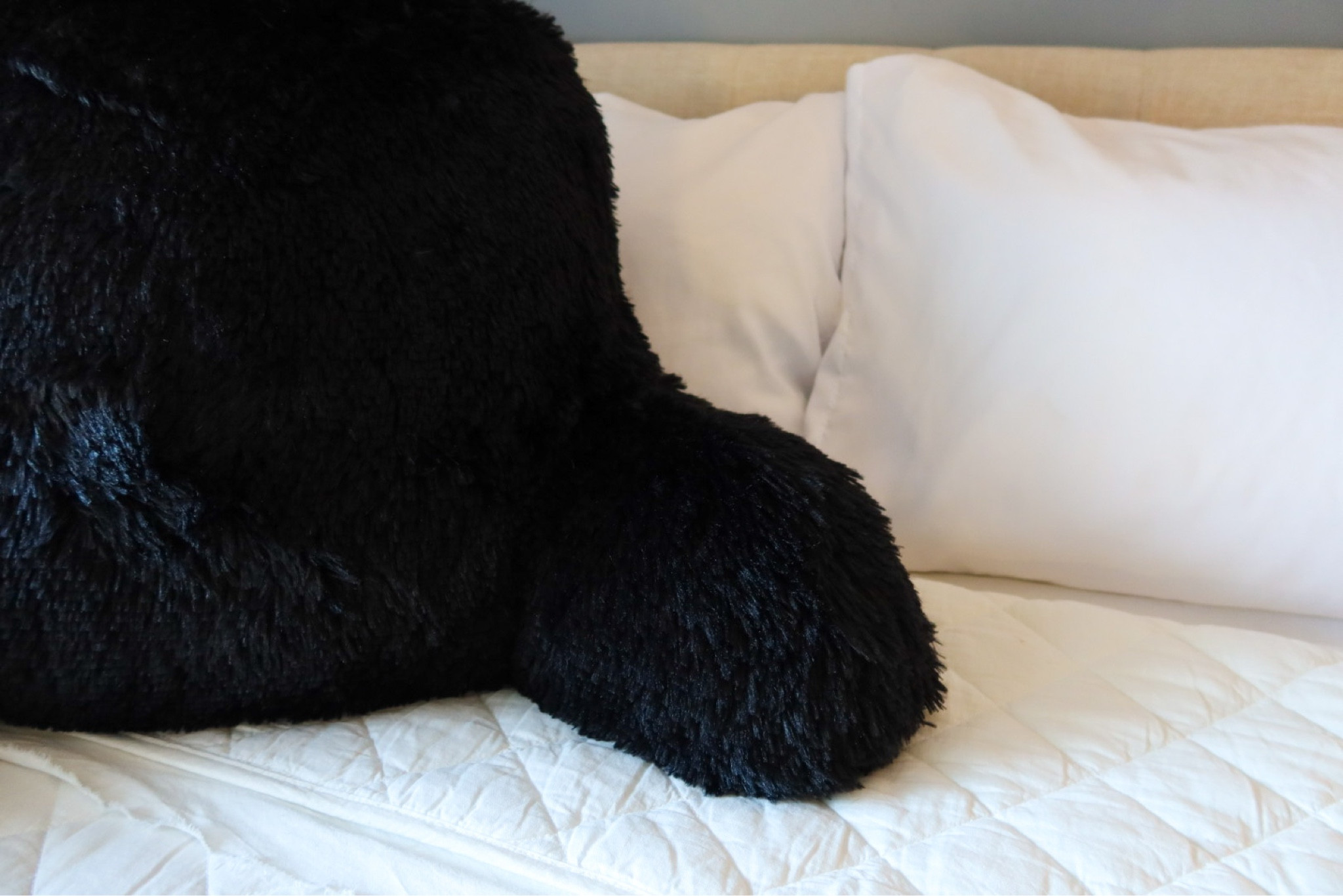 @walmart back to college - apartment style 🤍
#ad #walmart #walmartbacktocollege 
•
Everything I bought is linked in my Liketoknow.it, my bio and in my stories! You need to check out Walmart’s Apartment and Dorm selections, they have the best stuff at a low price! The quality of everything is so amazing too!!🙌🏼 
•
•
•


#LTKU #LTKhome #LTKsalealert