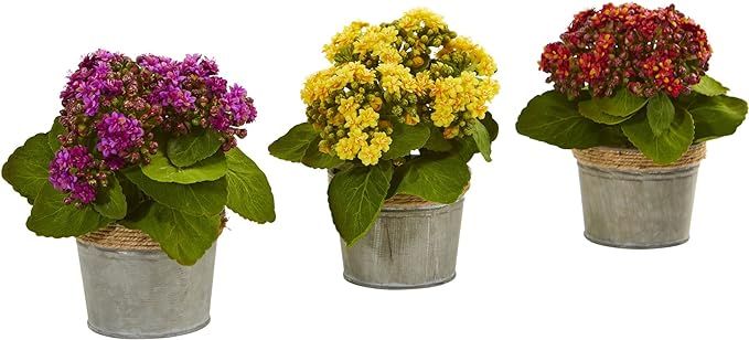 Nearly Natural Kalanchoes (Set of 3), 3 Piece | Amazon (US)