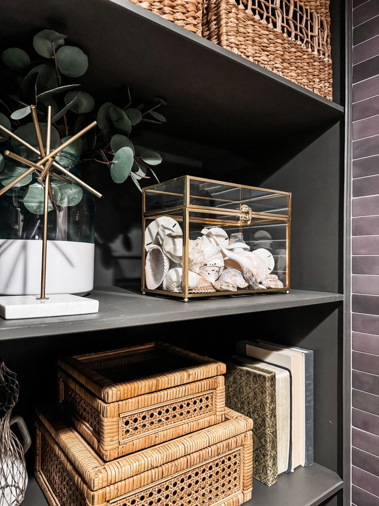 I love this glass display box for our collected seashells from the summer! 🐚

#glassdisplaybox #glassbox #seashells 

#LTKFindsUnder50 #LTKHome #LTKSaleAlert