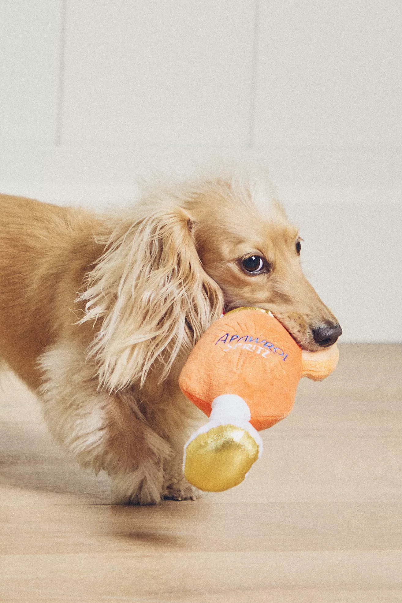 Haute Diggity Dog Beverage Dog Toy | Anthropologie (US)