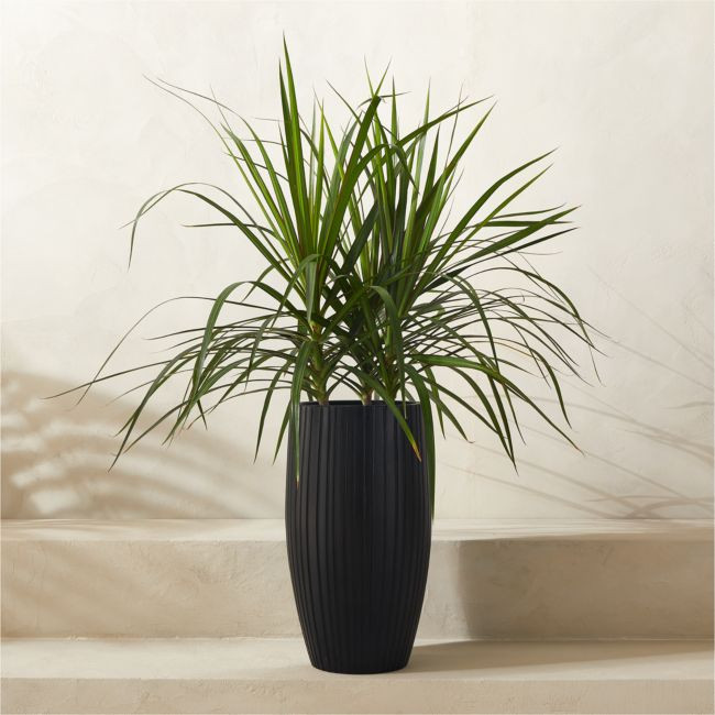 Zadie Black Resin Indoor/Outdoor Medium Planter 19.75"H | CB2