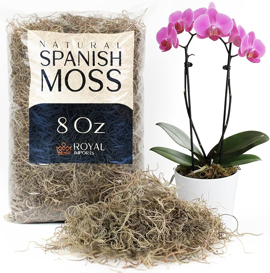 Royal Imports Preserved Natural Spanish Moss, Fresh Dried Shredded Loose Chunks, 8 Oz Bag | Amazon (US)