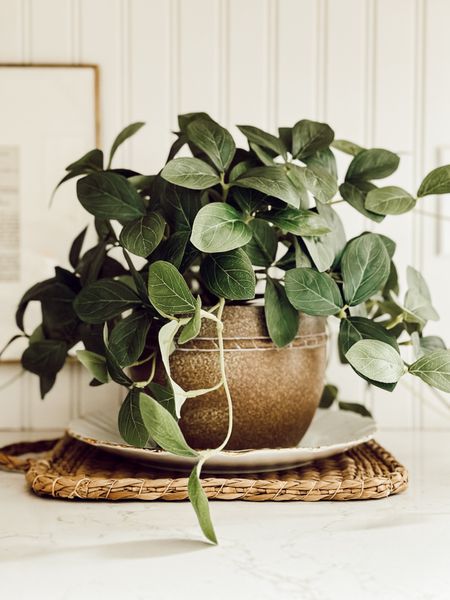 One of my favorite faux plants this spring. It’s so realistic looking!

#LTKstyletip #LTKfindsunder50 #LTKhome