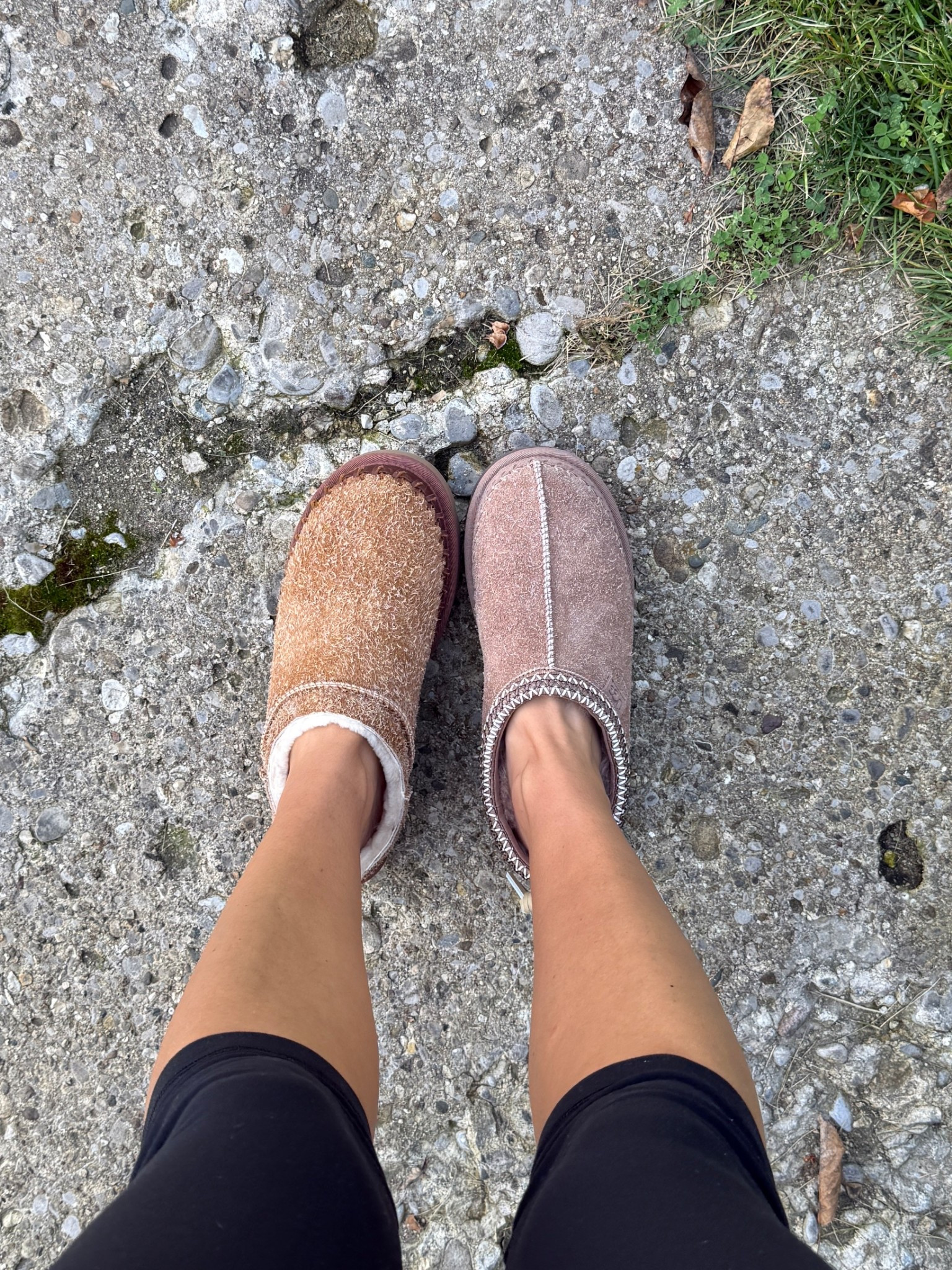 Deciding which to keep🫢 

#uggs #fallshoes 

#LTKShoeCrush