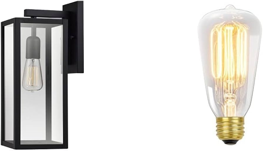 Globe Electric Bowery 1-Light Outdoor Indoor Wall Sconce, Matte Black, Clear Glass Shade 44176 & ... | Amazon (CA)