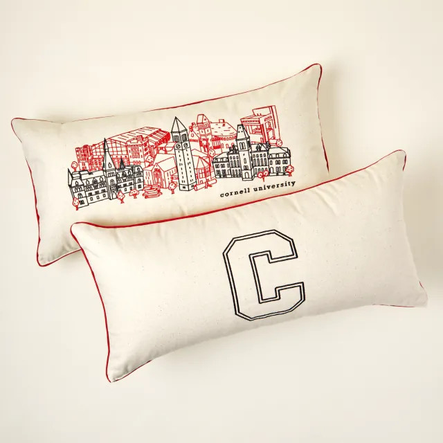 College Cityscape Embroidered Pillow | UncommonGoods