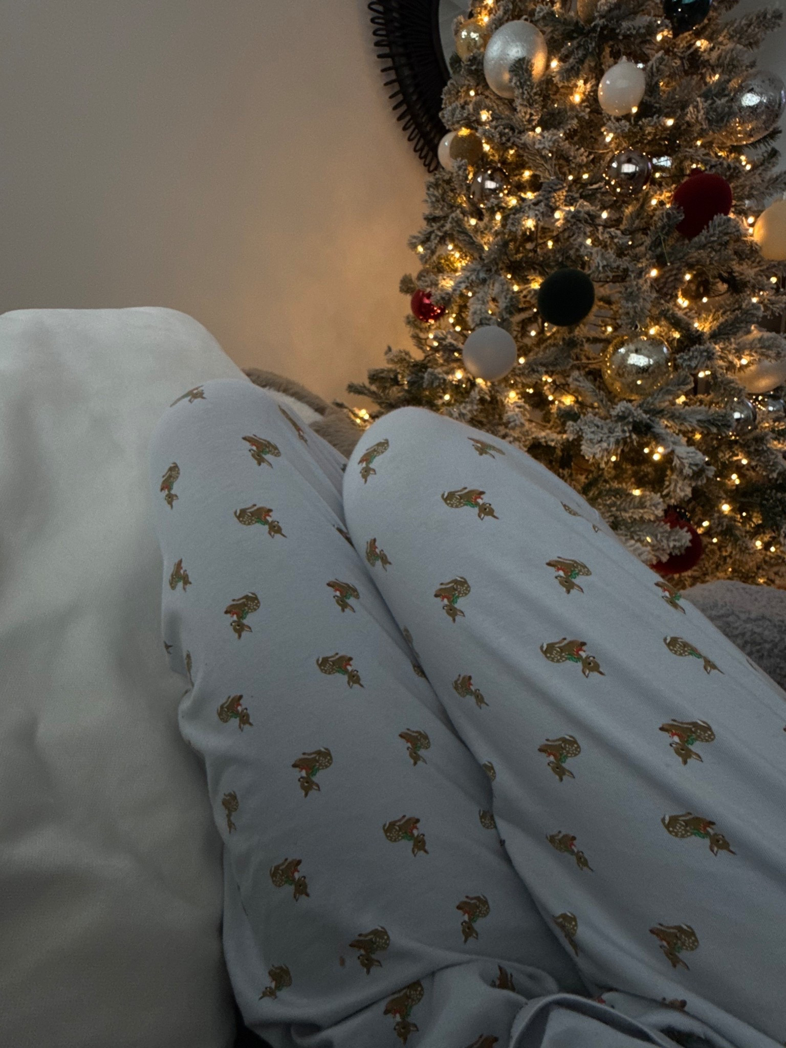 The best Skims pjs 

#LTKHoliday #LTKootd #LTKGiftGuide