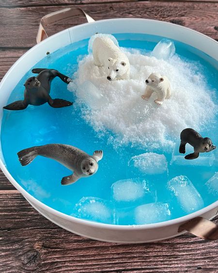 Dive into the Frozen Arctic 🐻‍❄️ Polar  Bear Sensory Bin

#LTKbaby #LTKSeasonal #LTKfamily