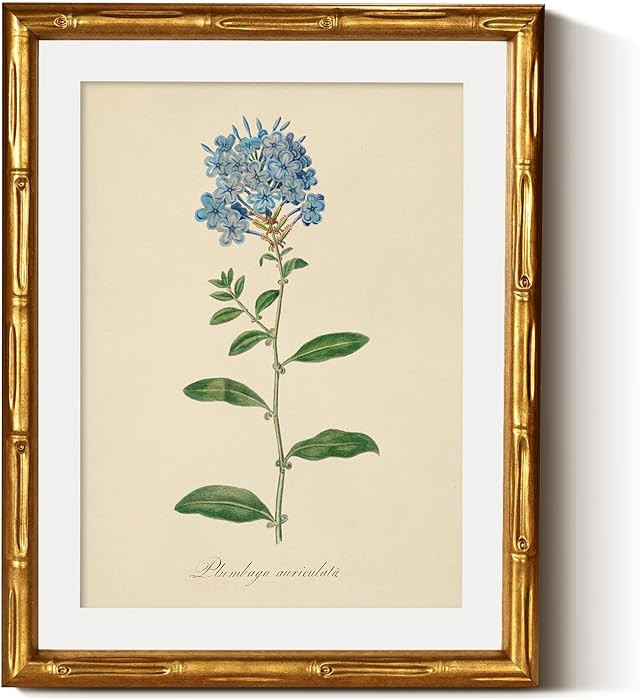 InSimSea Gold Bamboo Framed Canvas Wall Art, Retro Blue Snowflake Botanical Prints, Floral Pictur... | Amazon (US)