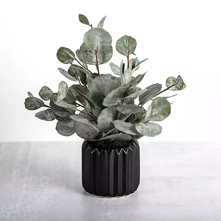 Eucalyptus Arrangement in Black Planter | Kirkland's Home