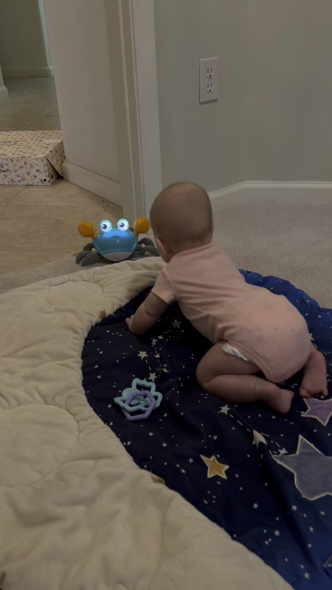 She’s on the move! Two weeks ago Chloe started rocking to the crab beats and then the next day… she was crawling! Now I can’t keep her still 😂

I’ve linked the crab below along with some baby essentials we love! I also have some baby clothes listed on poshmark (new and used!). 

#baby 

#LTKBaby #LTKKids #LTKHome