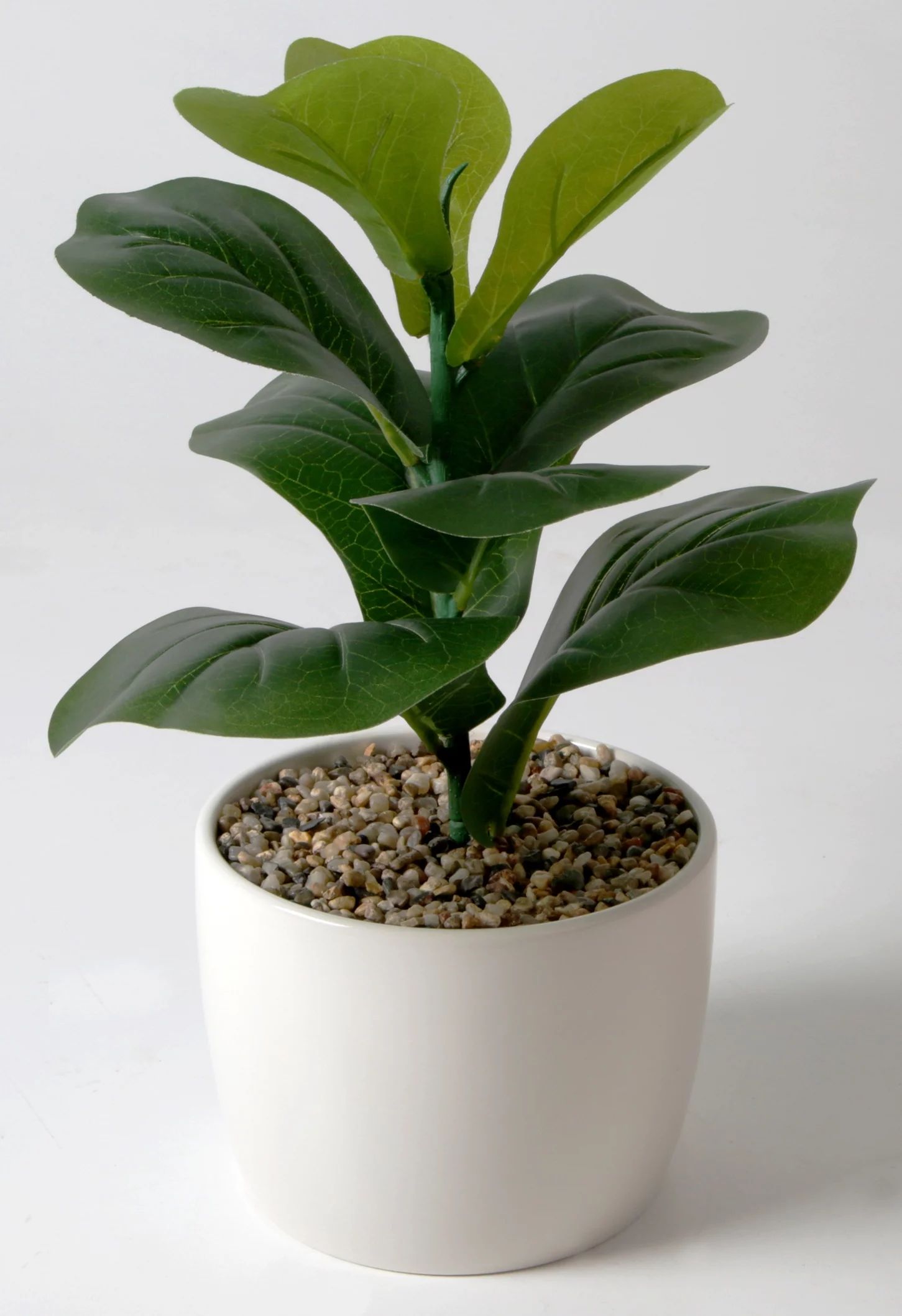 Mainstays 13" Artificial Plant Faux Fiddle Leaf in White Ceramic Vase, White - Walmart.com | Walmart (US)