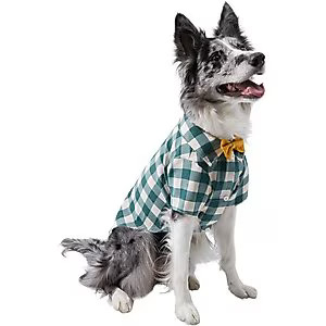 Frisco Boho Plaid Dog & Cat Shirt | Chewy.com