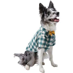 Frisco Boho Plaid Dog & Cat Shirt | Chewy.com
