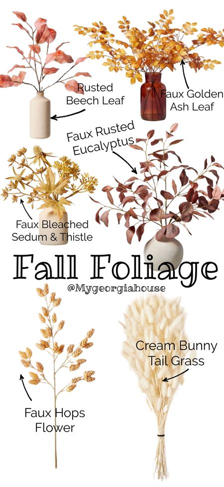 Fall foliage from Target ! Beautiful floral options in many colors and textures. Fall home decor, easy fall home, easy decor, autumn home

#LTKhome #LTKFind #LTKSeasonal