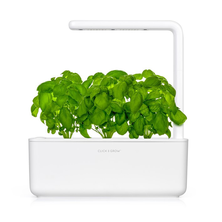 Click and Grow Smart Garden, 3-Pod | Williams Sonoma | Williams-Sonoma