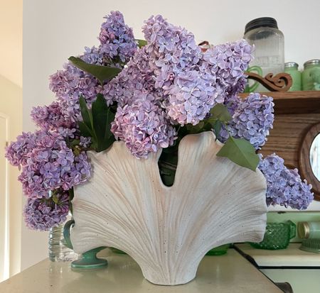 Most beautiful vase under $100. Lilacs in a vase. Mother’s Day gift. Birthday present. Anthropologie finds. Anthropologie home. 💜

#LTKhome #LTKunder100 #LTKGiftGuide