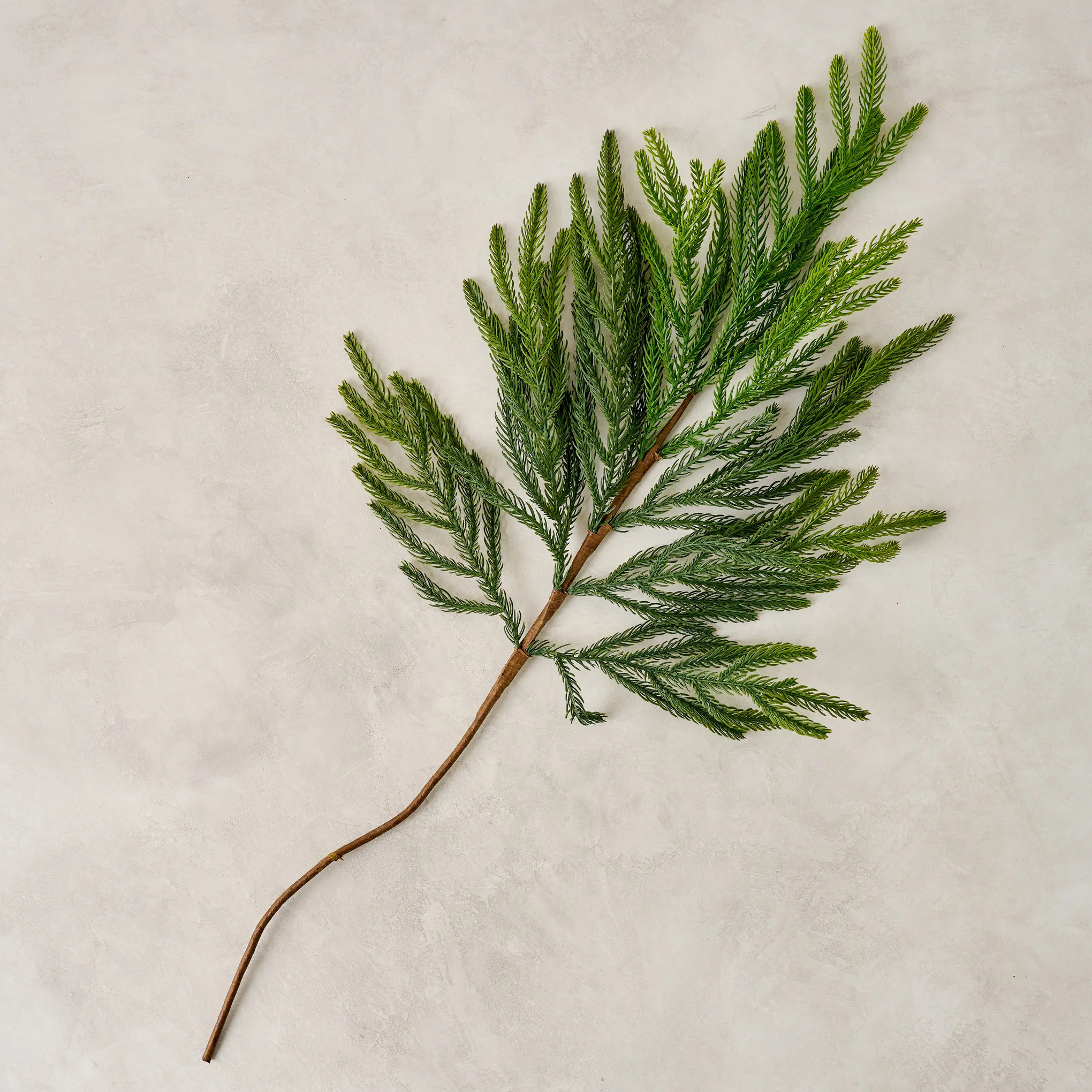 Real Touch Norfolk Pine Spray | Magnolia