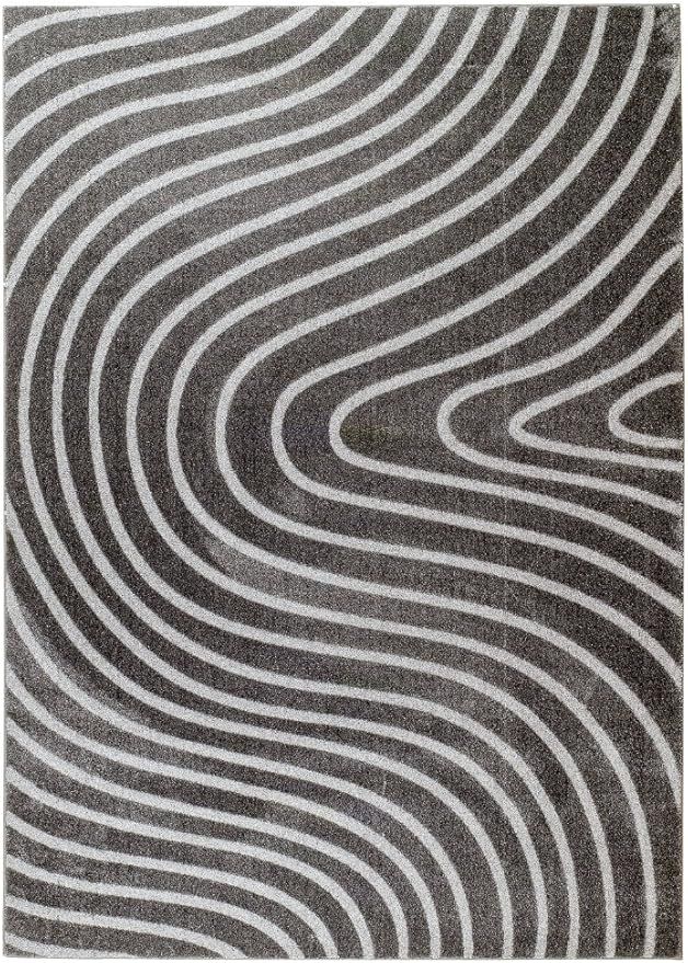 Amazon.com: Persian-Rugs Dark Gray Swirls Contemporary 4'0x5'3 Luxury Polyester Carpet Large New ... | Amazon (US)