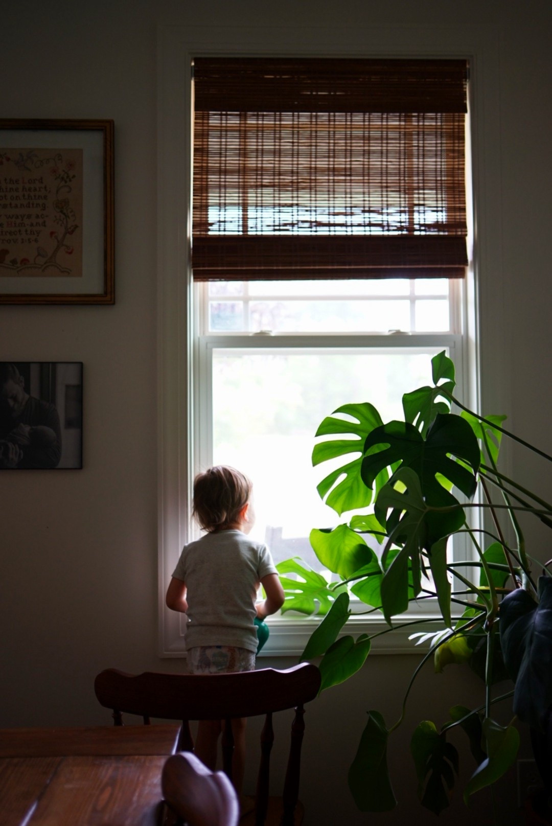 One of the easiest swaps we made in our home: no-drill bamboo blinds. 🌿
They instantly add warmth, texture, and that timeless, cottage feel—without the hassle of tools or damaging your window frames. Perfect for renters or anyone who wants a quick and affordable update!

I love that these blinds bring in just the right amount of filtered light during the day, while still giving us privacy at night. They’ve completely transformed the look of our space and are such a simple way to add charm and coziness. ✨

I’ve linked the exact ones we used, along with a few other favorites that come in different tones and sizes. If you’ve been wanting to add a little depth and character to your windows without a big project—these are such a good place to start!

Amazon home
Blinds
Window treatments
Bamboo blinds


#LTKStyleTip #LTKHome