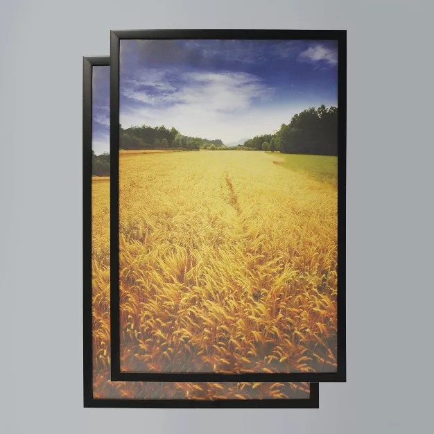 (Set of 2) 24" x 36" Poster Frame Black - Room Essentials™ | Target