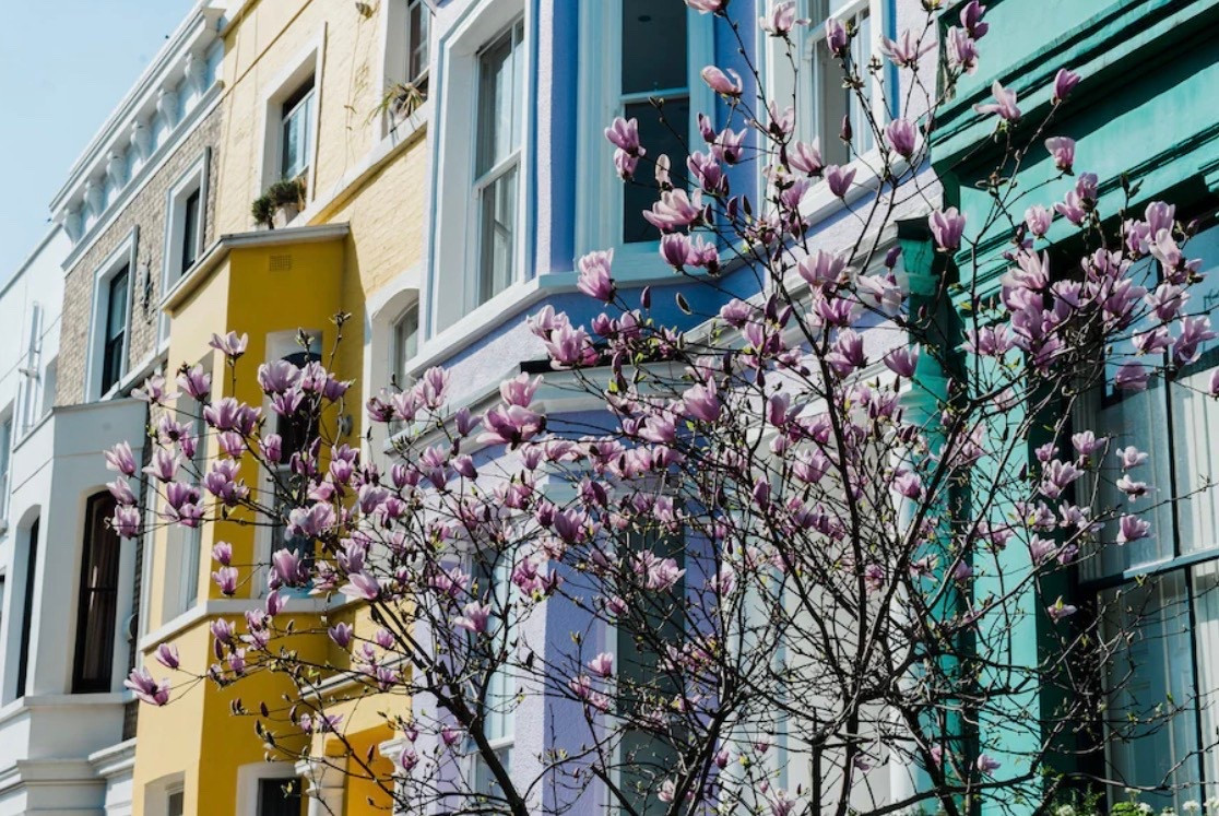 It’s that time of the year! Here’s my recently ordered items for spring/ summer! 

#LTKSwim #LTKHome #LTKmomlife