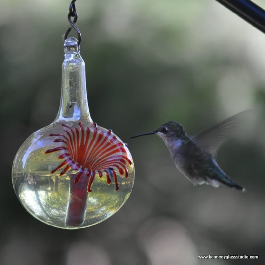 OR- Hummingbird Feeder,  The Kennedy Style Hummingbird Feeder, The Original One Piece Drip-less H... | Etsy (US)