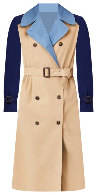 Colorblock Oversized Trench Coat | Ann Taylor (US)