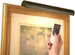 Concept Lighting 303L Cordless LED Remote Control Picture Light, 18", Matte Black | Amazon (US)