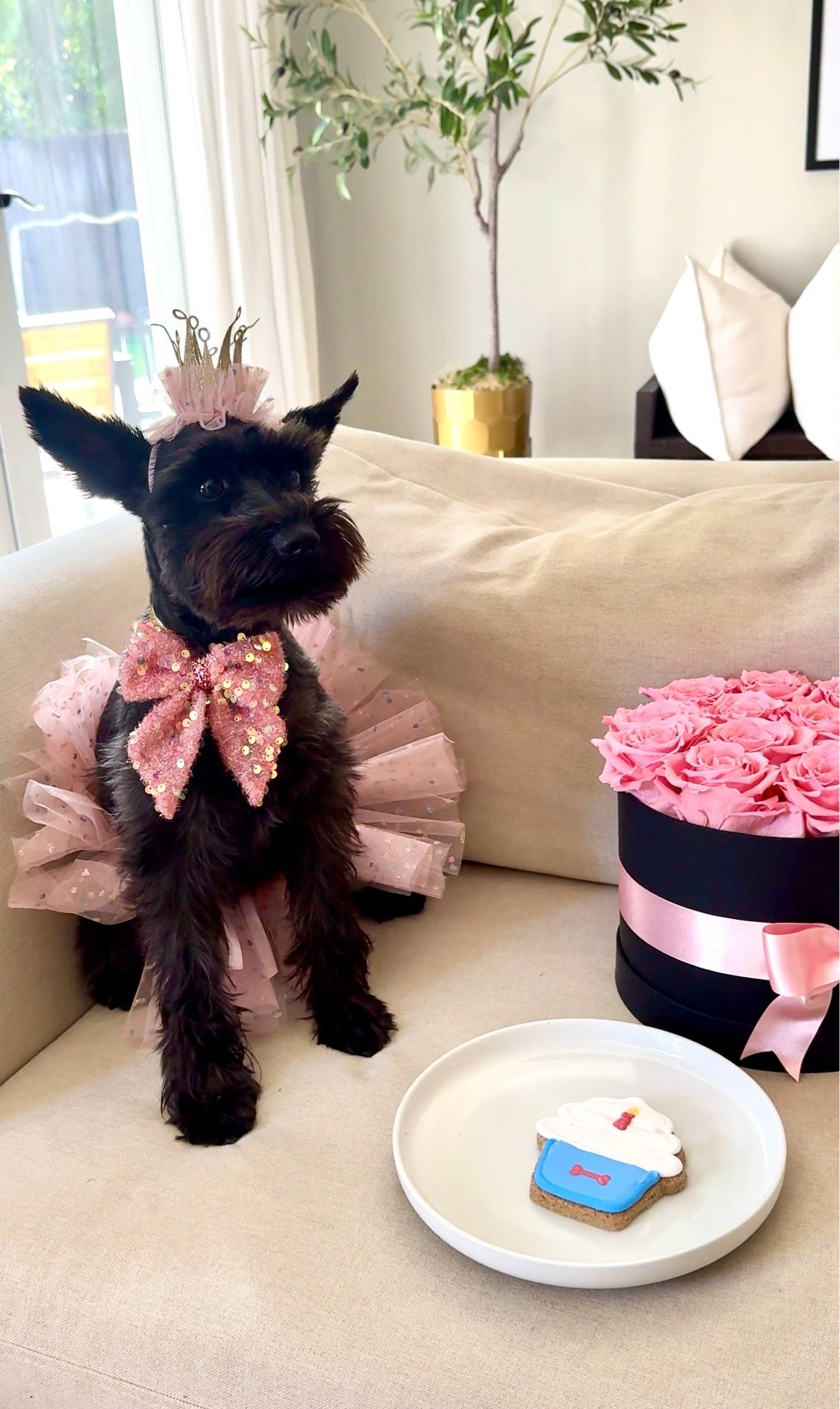 Coco’s birthday