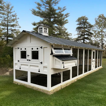 Best Chicken Coop in America: Perfect for Backyard Flocks | Carolina Coops