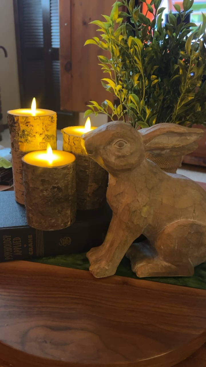 Easter decor - Easter home decor - spring decor - spring home decor - Flameless candles - birch candles - Amazon home - Amazon home decor - Amazon home finds - Easter vignette 

#LTKhome #LTKunder50 #LTKSeasonal