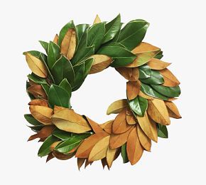 Fresh Magnolia Wreath | Pottery Barn (US)