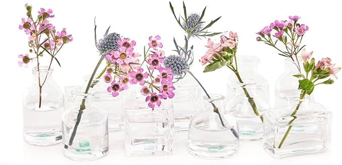 CHIVE ‘Loft’ Clear Glass Flower Vases — Set of 10 — Small, Cute Apothecary Bottle Bud Vas... | Amazon (US)