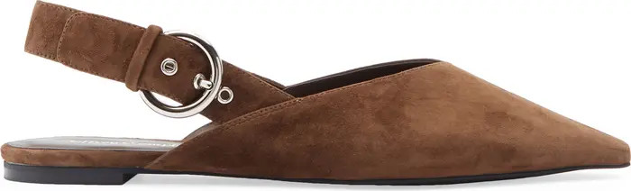 Scone Slingback Pointed Toe Flat (Women) | Nordstrom
