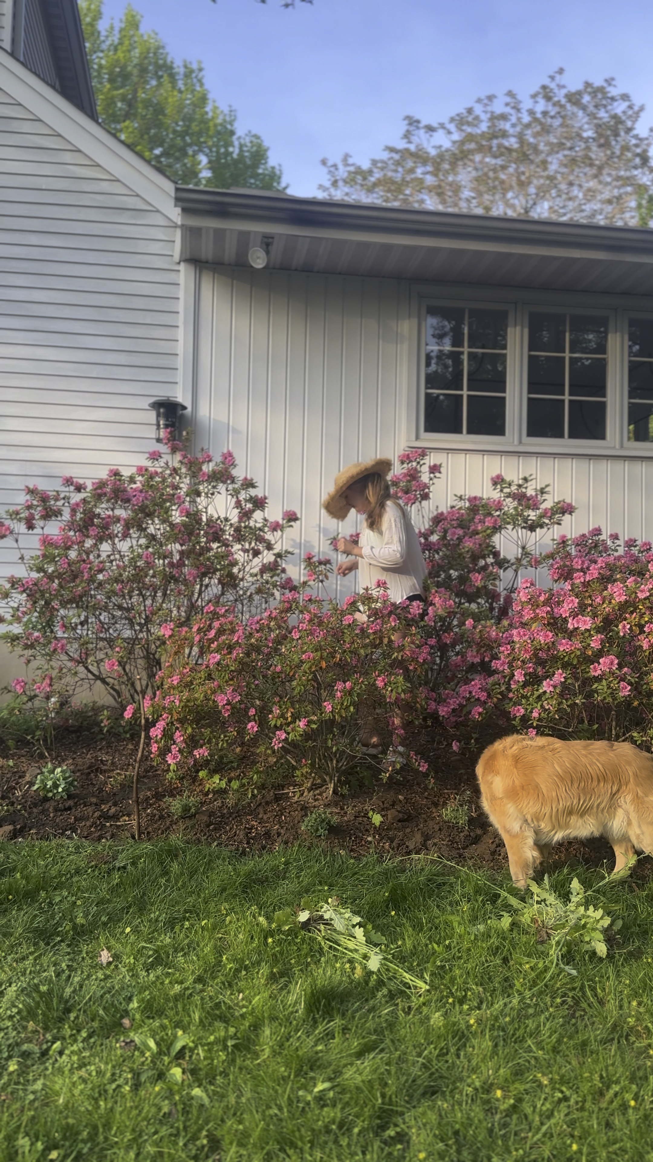First time wearing a garden hat while weeding. 
Maybe it’s because I’m embracing middle age or maybeee it’s because I got burnt to a crisp at lacrosse.
Either way these hats are cute 👒

#LTKfindsunder50 #LTKSeasonal #LTKhome