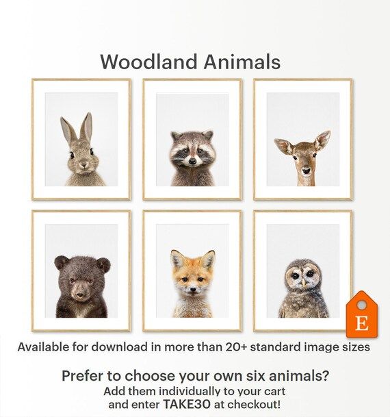 Woodland Nursery Print Baby Animal Prints Nursery Animals - Etsy | Etsy (US)