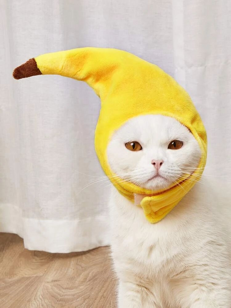Banana Shaped Pet Headwear | SHEIN