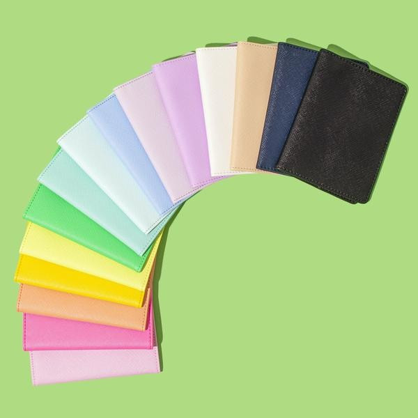 Passport Case | Stoney Clover Lane