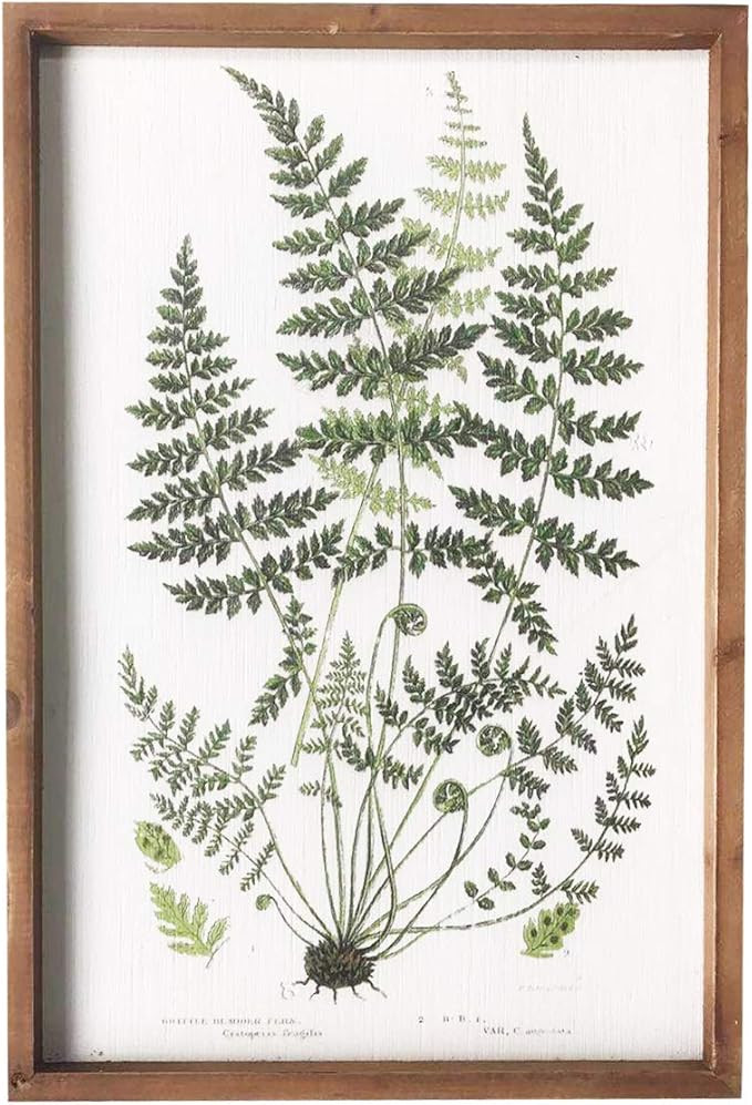 NIKKY HOME Botanical Plant Prints Framed - 20" x 14" Fern Pictures Art Wall Decor - Vintage Look ... | Amazon (US)