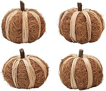 Creative Co-Op Dried Natural Coco Fiber & Raffia Pumpkin Filler | Amazon (US)