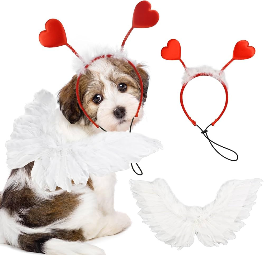 Dog Sweeat Heart Headband Valentin's Day Costume Set with White Feather Wing Heart Headband Love-... | Amazon (US)